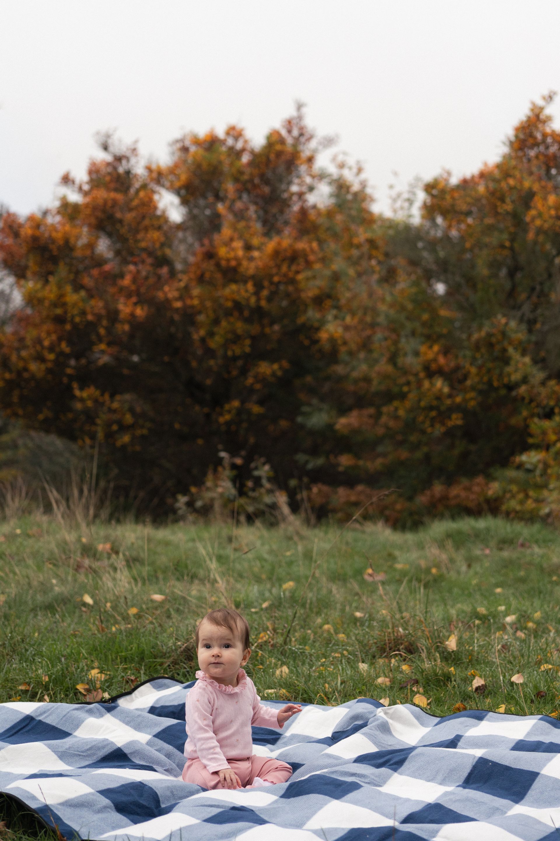 Family photography