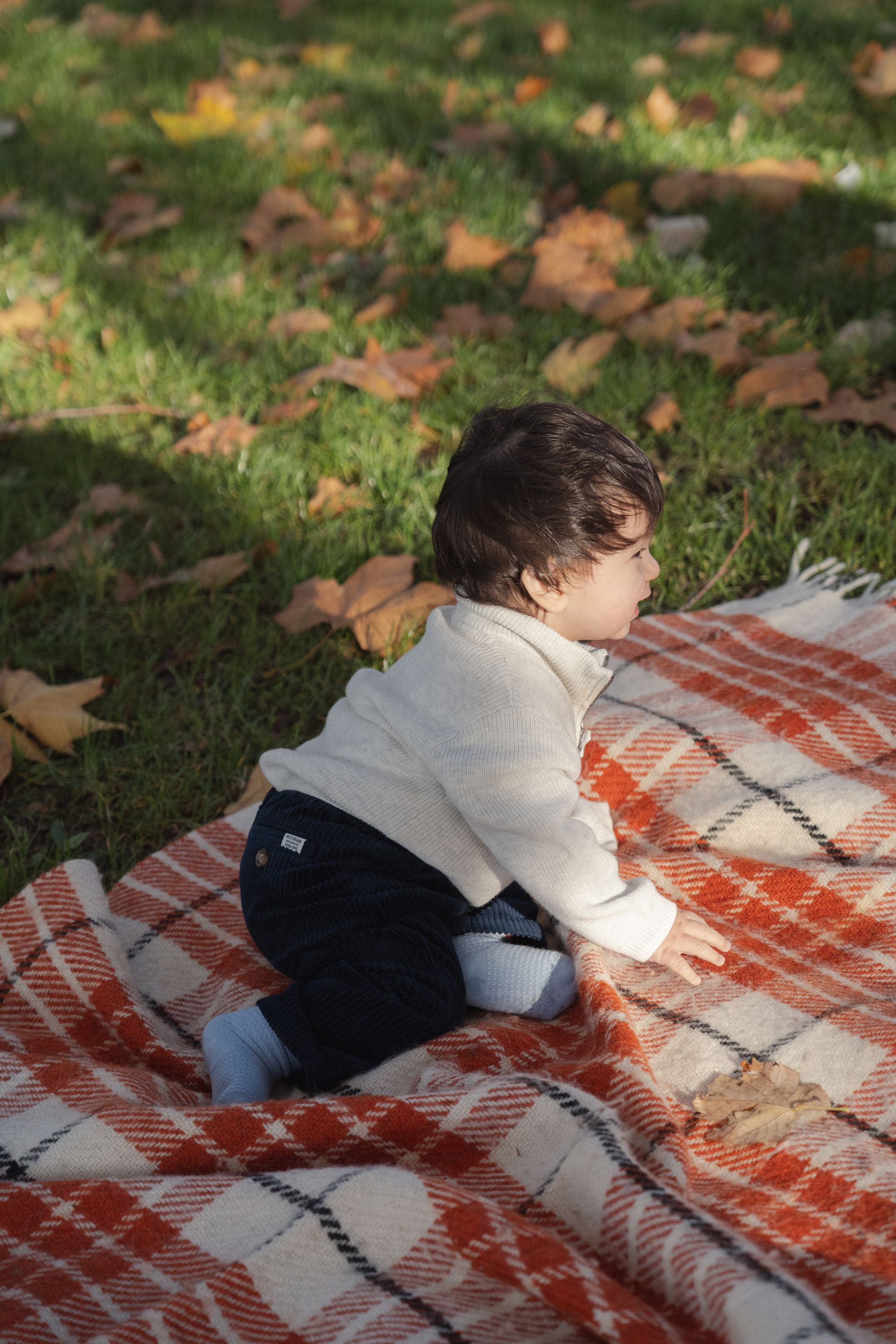 Family photography